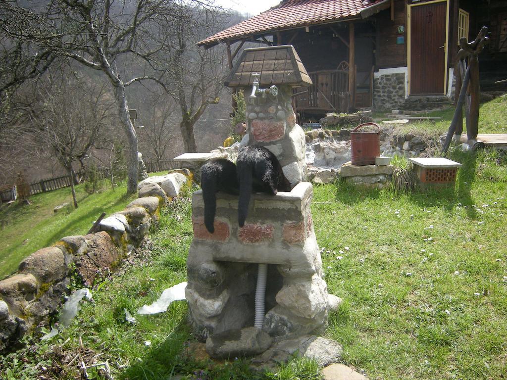 Apartment Cerova Kosa Mokra Gora Rom bilde